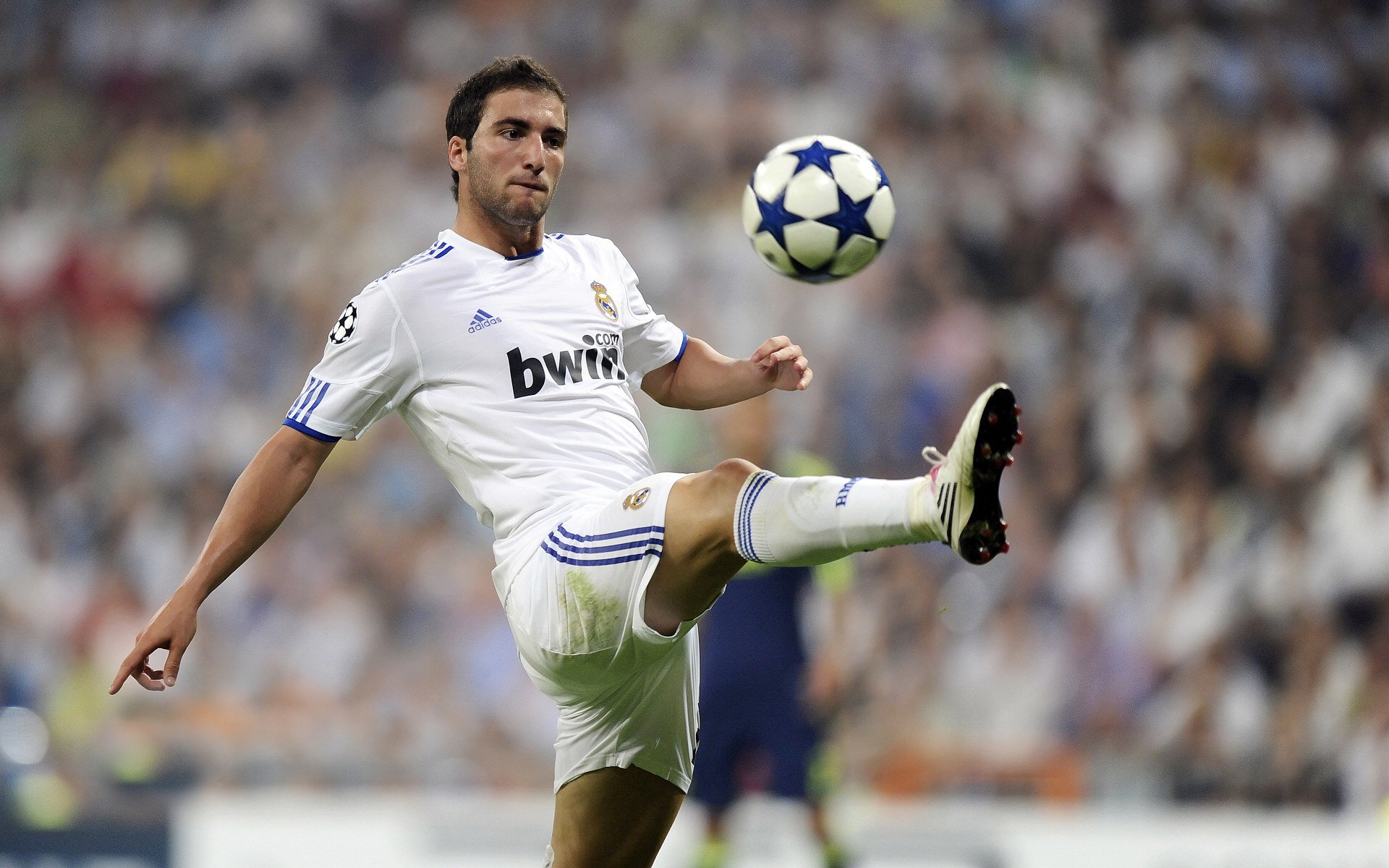 德甲深度整合青训资源，打造足球“顶梁柱”，德甲青训最好俱乐部